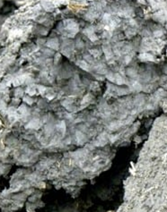 Figure 2.11. Well-aggregated (left) vs. compacted (right) soil. (NDSU, Dr. Abbey Wick)